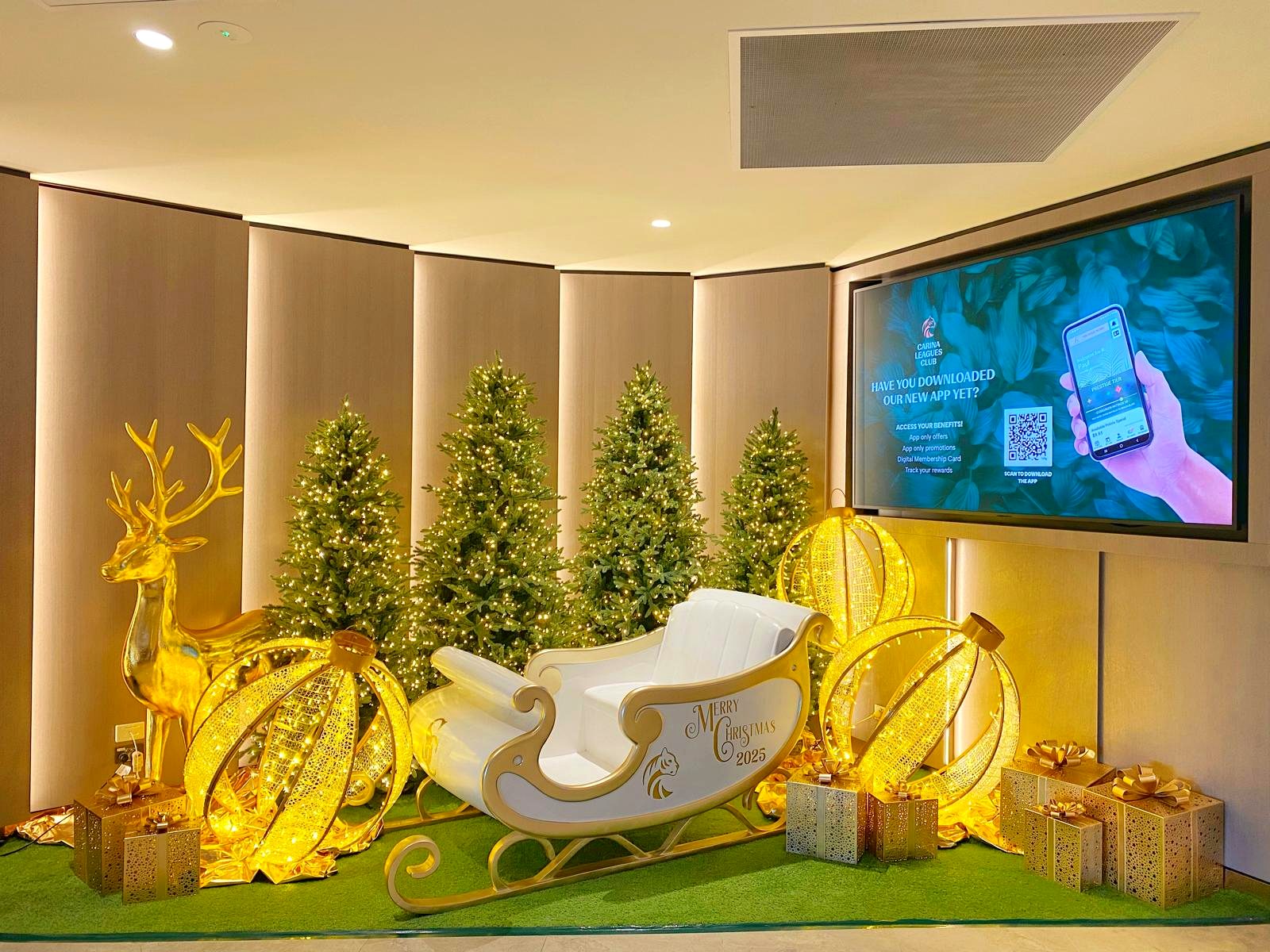 Gold reindeer and white Christmas sleigh display at Carina Leagues Club